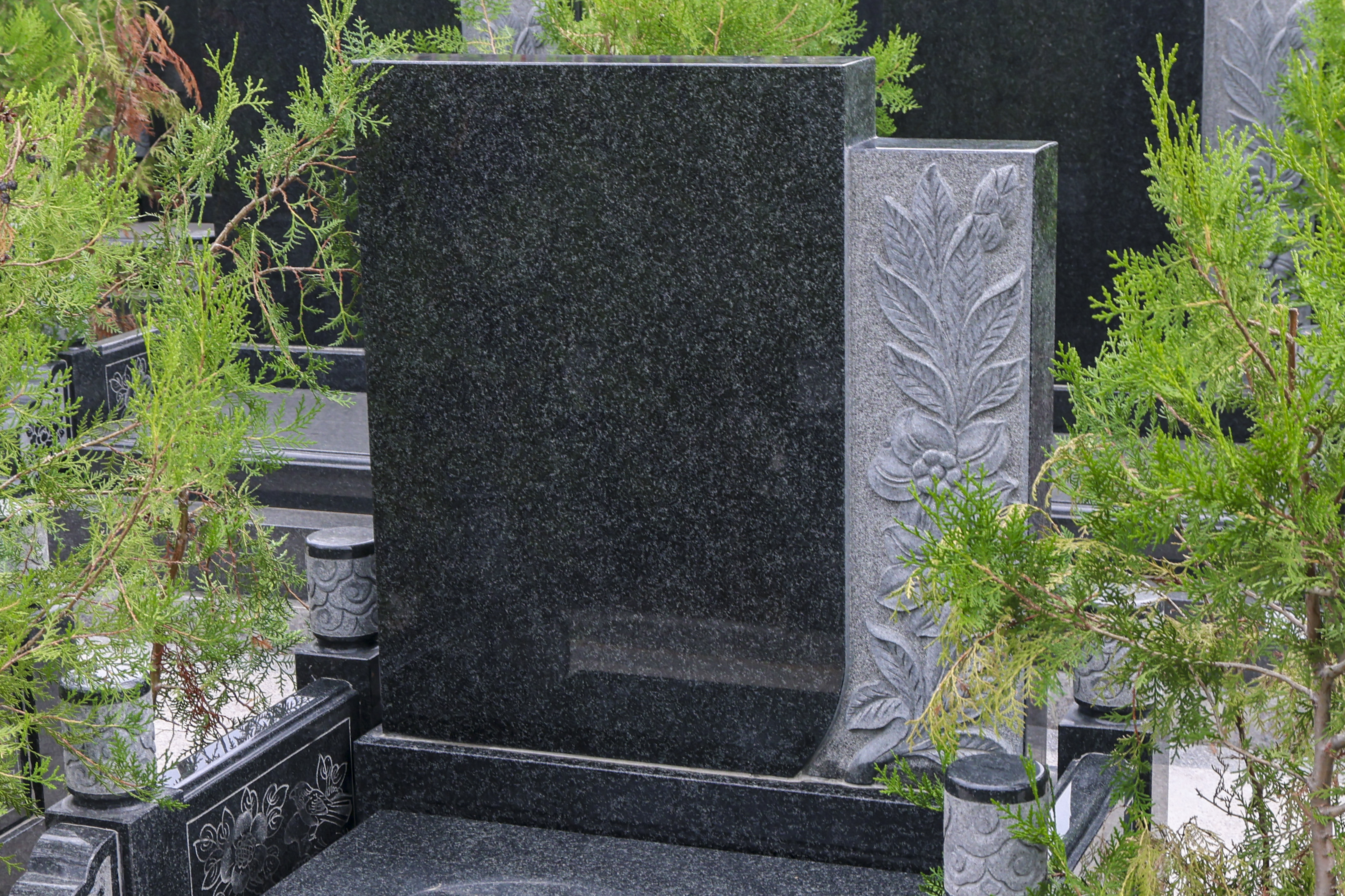 文锦（绿）展示图