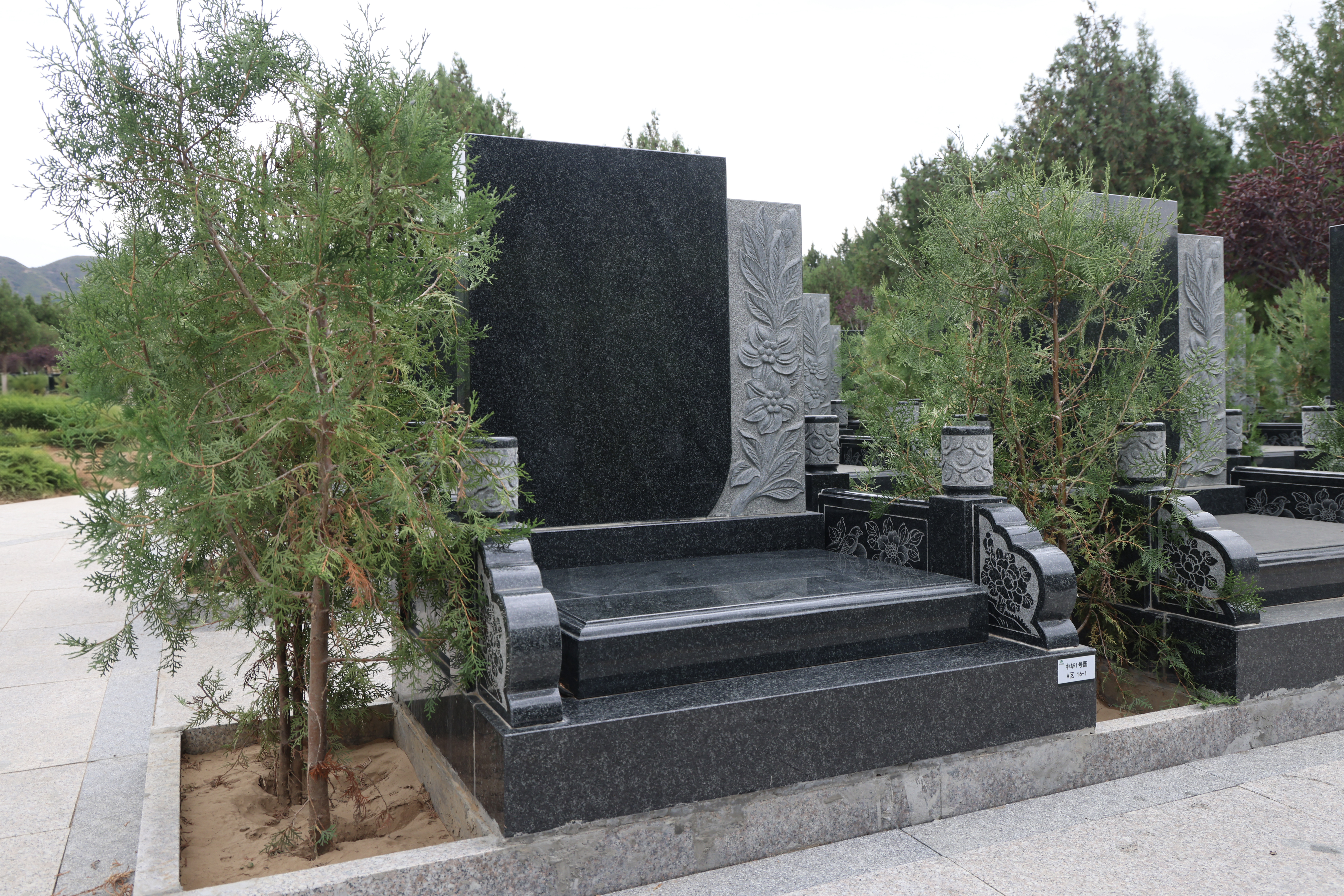 文锦（绿）展示图